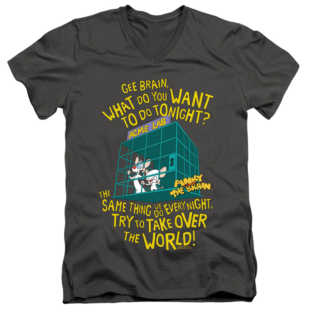 Pinky and the Brain Take Over the World V-Neck T-Shirt