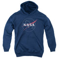 NASA Distressed Logo Youth Hoodie