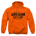 Batman Arkham Asylum Pullover Hoodie