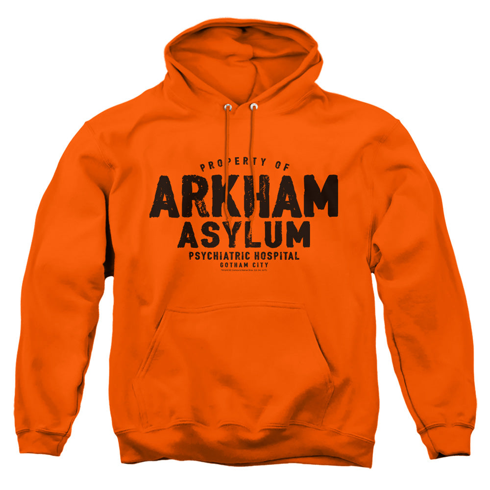 Batman Arkham Asylum Pullover Hoodie