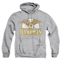 DC Comics Fly By Pullover Hoodie