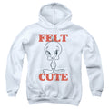 Looney Tunes Felt Cute Youth Hoodie