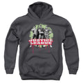 Justice League Jla Trio Youth Hoodie