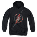 DC Comics Flash Icon 1 Youth Hoodie