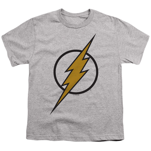 DC Comics Flash Muted Color Bolt Long Sleeve T-Shirt