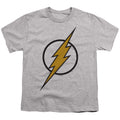 DC Comics Flash Muted Color Bolt Crewneck Sweatshirt