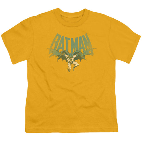 DC Comics Flying Bat Youth/Toddler T-Shirt