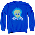 Looney Tunes Tweety Swirl Crewneck Sweatshirt