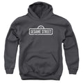 Sesame Street One Color Logo Youth Hoodie