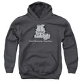 Garfield Good Morning Sunshine Youth Hoodie