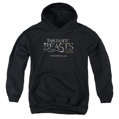 Fantastic Beasts Logo Youth Hoodie