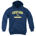 Star Trek Starfleet Academy Fighting Phoenix Banner Youth Hoodie