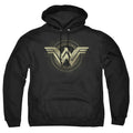 Batman v Superman Ancient Emblems Pullover Hoodie