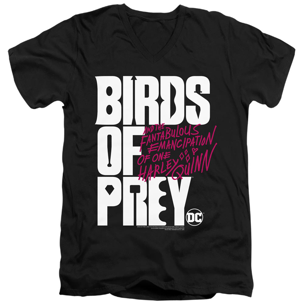 Birds of Prey Birds Of Prey Logo V-Neck T-Shirt