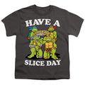 Teenage Mutant Ninja Turtles Have a Slice Day Youth/Toddler T-Shirt