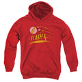 The Flash Like Lightning Youth Hoodie