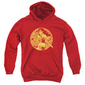 Wonder Woman Young Wonder Youth Hoodie
