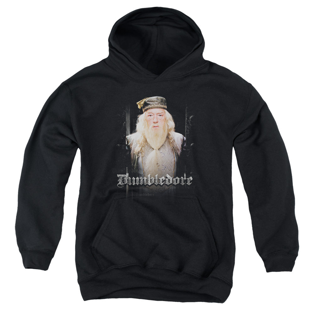 Harry Potter Dumble Doors Youth Hoodie