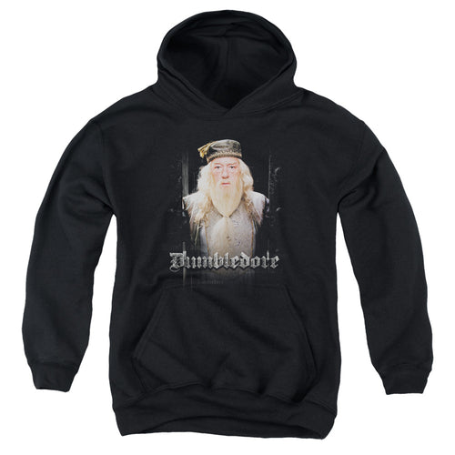 Harry Potter Dumble Doors Youth Hoodie
