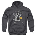 Mighty Morphin Power Rangers Black Ranger Youth Hoodie