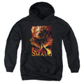 The Hobbit Smolder Youth Hoodie