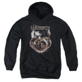 Labyrinth Globes Youth Hoodie