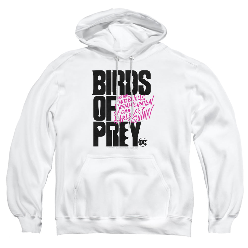 Birds of Prey Birds Of Prey Logo Pullover Hoodie