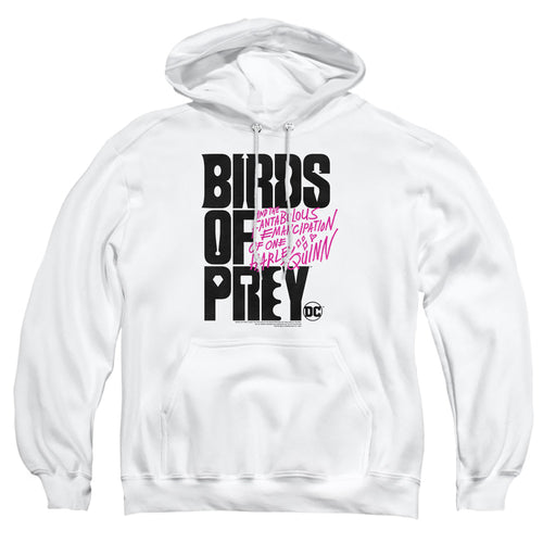 Birds of Prey Birds Of Prey Logo Pullover Hoodie