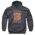 U.S. Marine Corps Devil Dogs Youth Hoodie