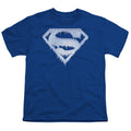 Superman Ice and Snow Shield Youth/Toddler T-Shirt