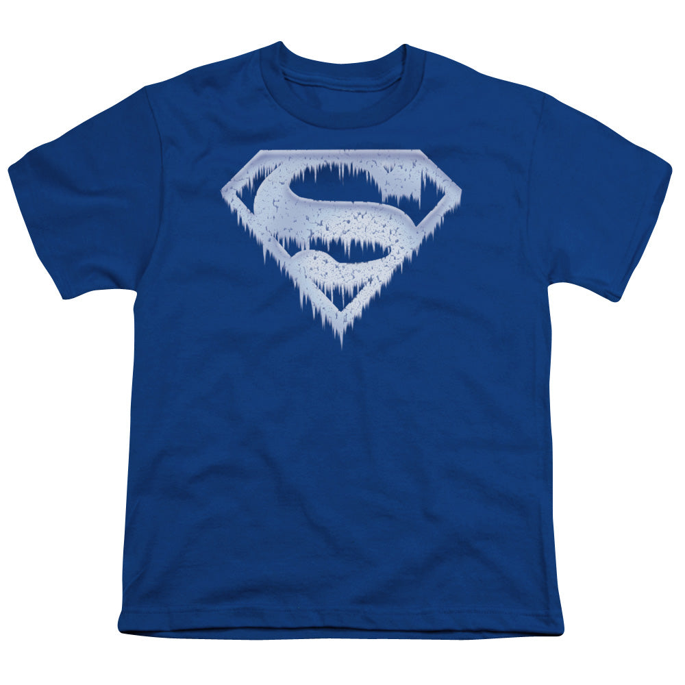 Superman Ice and Snow Shield Youth/Toddler T-Shirt
