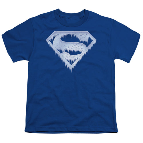 Superman Ice and Snow Shield Youth/Toddler T-Shirt