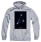 Capricorn Stars Gray