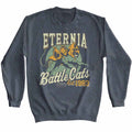 Dark Heather Masters of the Universe sweatshirt featuring Masters of the Universe Eternia Battlecats 2 design