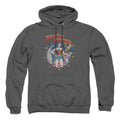 DC Comics At Your Service Pullover Hoodie