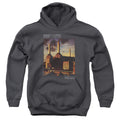 Pink Floyd Faded Animals Youth Hoodie