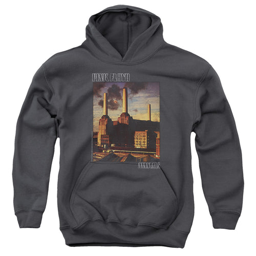 Pink Floyd Faded Animals Youth Hoodie