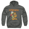 Garfield Garfield The Game Youth Hoodie