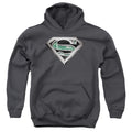 Superman Circuitry Logo Youth Hoodie