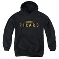 Star Trek Picard Logo Youth Hoodie