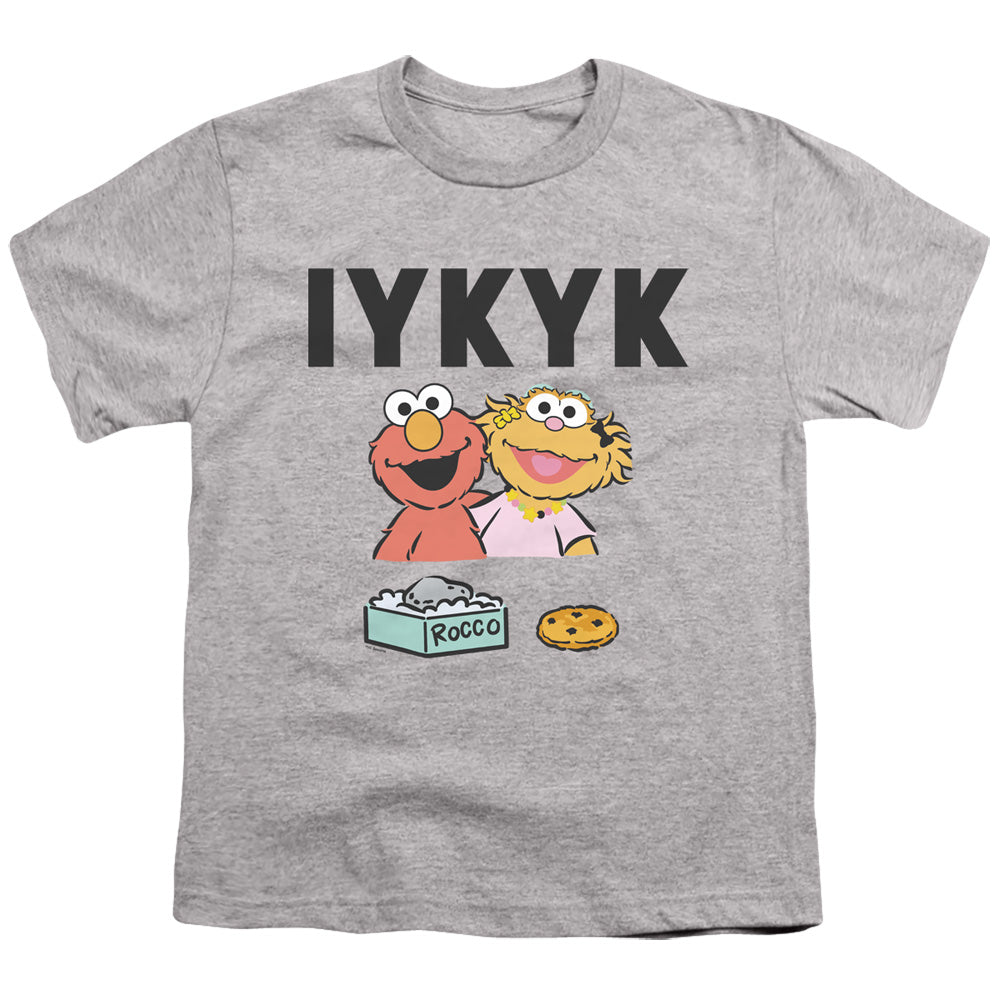 Sesame Street If You Know You Know Youth/Toddler T-Shirt