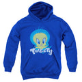 Looney Tunes Tweety Swirl Youth Hoodie