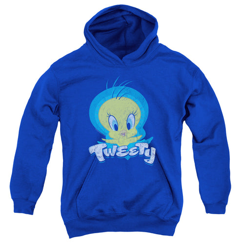 Looney Tunes Tweety Swirl Youth Hoodie