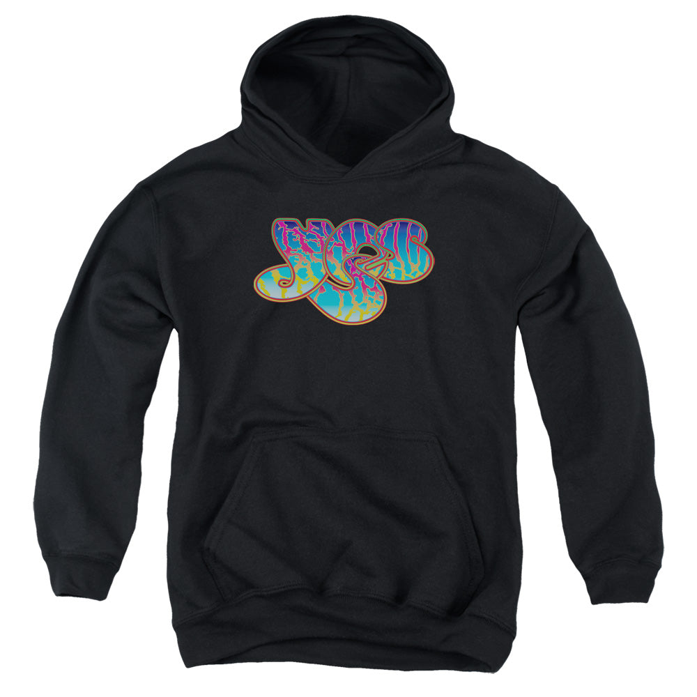 Yes Roger Dean Logo Youth Hoodie