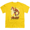 Justice League Flash Yellow Youth/Toddler T-Shirt