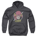 The Flash Vintage Voltage Youth Hoodie