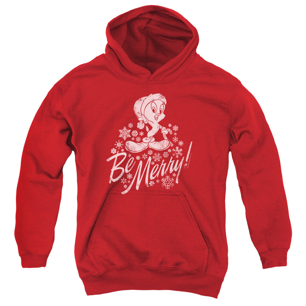 Looney Tunes Merry Tweety Youth Hoodie