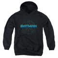 Batman Bat Tech Logo Youth Hoodie