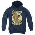 Scooby-Doo Where Are You Youth Hoodie