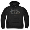 Fantastic Beasts Logo Pullover Hoodie